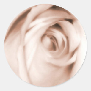 nuances de rouge rose autocollant