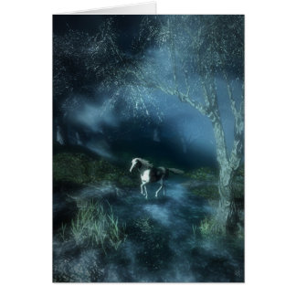 Nuit du cheval blanc