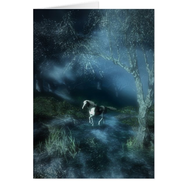 Nuit du cheval blanc (Devant)