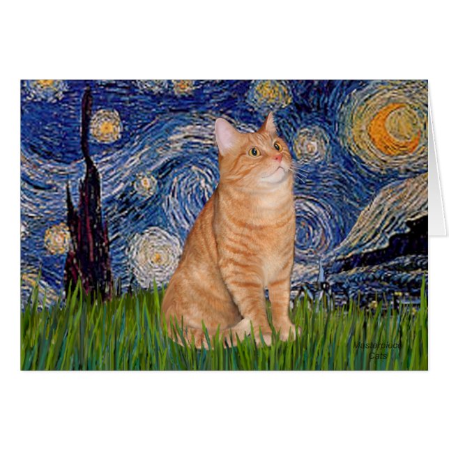Nuit étoilée - Orange Tabby 46 (Devant horizontal)