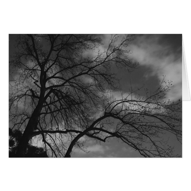 Nuit mystérieuse (Devant horizontal)