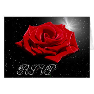 Nuit romantique étoilée