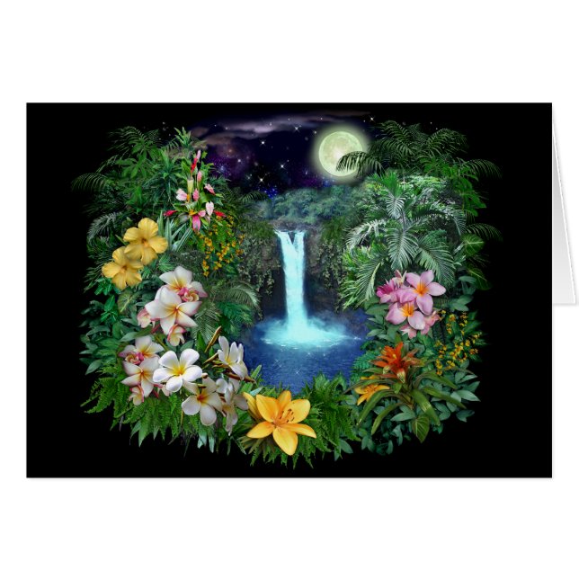 Nuits tropicales (Devant horizontal)