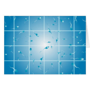 Numération des spermatozoïdes