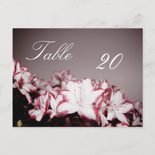 Numéro de la table de fleurs Carte postale (Devant)