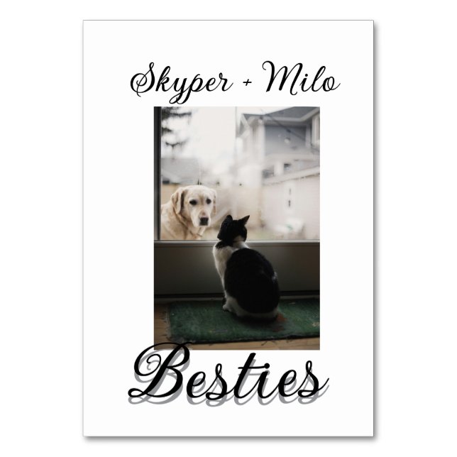 Numéro De Table Animaux de compagnie amis besties ajouter nom anim (Par défaut)