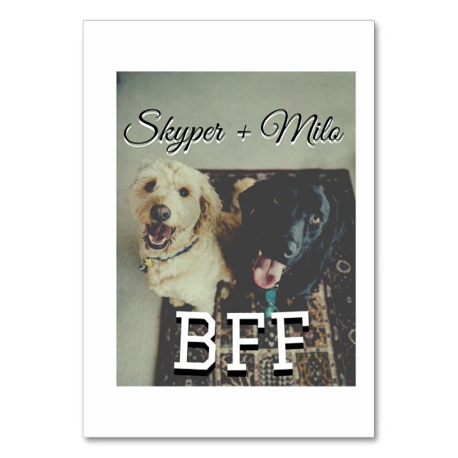 Numéro De Table Animaux de compagnie amis besties ajouter nom anim (Par défaut)