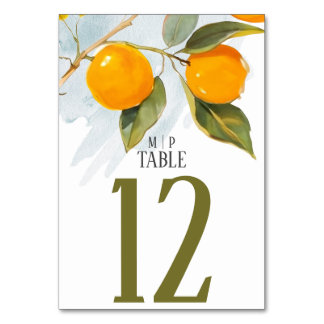 Numéro De Table Aquarelle orange thème Couleurs vives