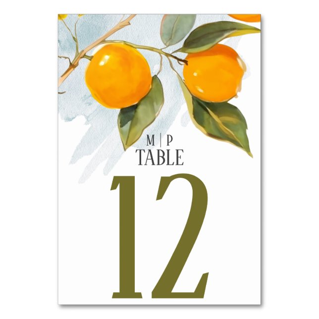 Numéro De Table Aquarelle orange thème Couleurs vives (Par défaut)
