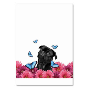 Numéro De Table Carlin Gerbera Papillons Chien noir mignon