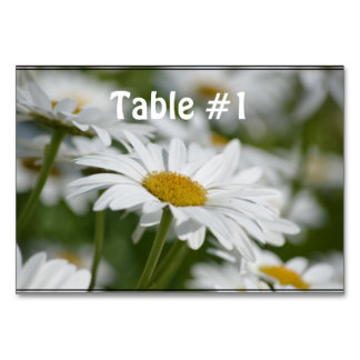 Numéro De Table Champ de marguerites