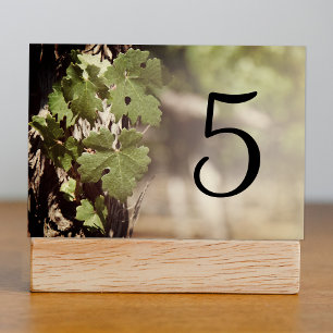 Numéro De Table Chiffres de table des vignes Feuilles