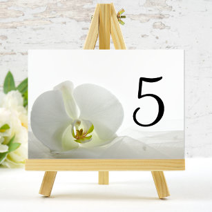 Numéro De Table Chiffres du Mariage de l'orchidée blanche et du vo