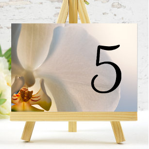 Numéro De Table Chiffres du tableau de l'élégance des orchidées bl