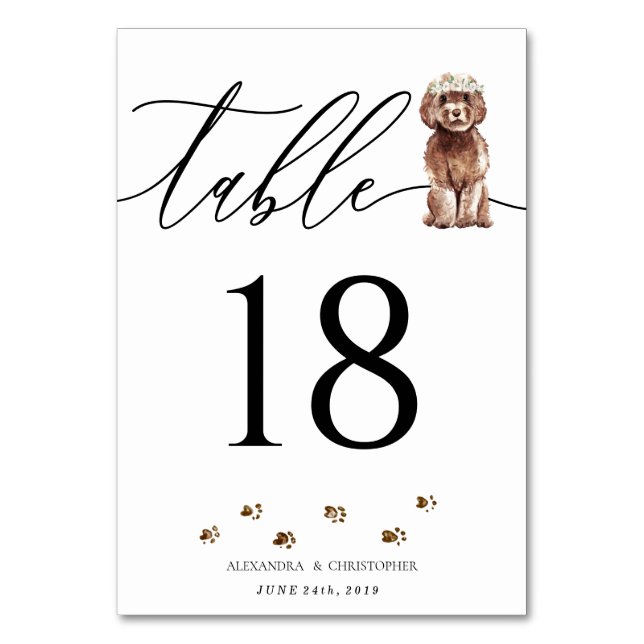 Numéro De Table Chiouveau Cavapoo de couleur marron Appel de maria (Par défaut)