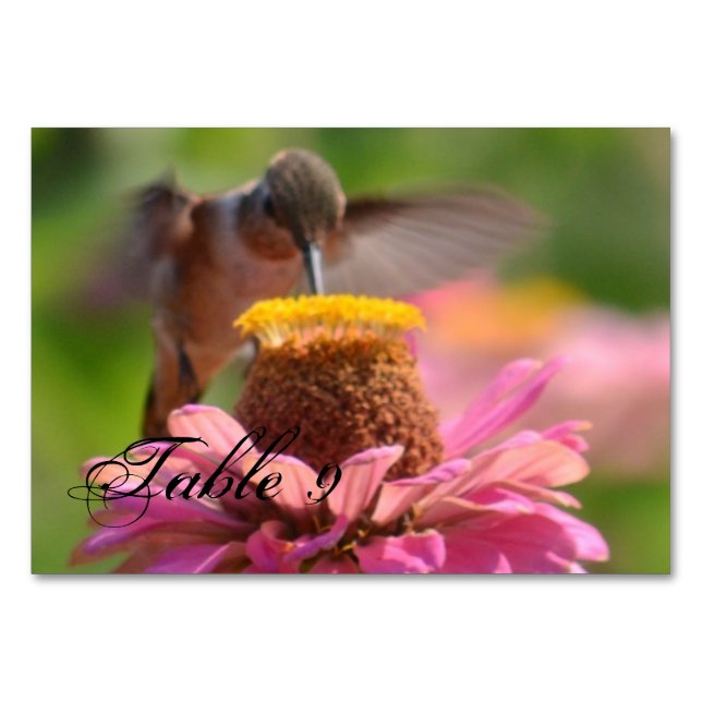 Numéro De Table Colibri (Devant)