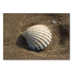 Numéro De Table Coquille de choc dans le sable
