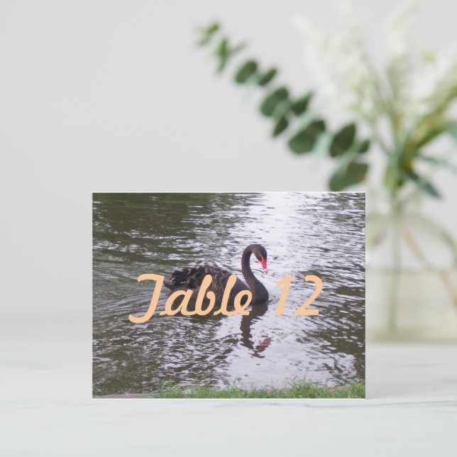 Numéro de table Cygne noir (Debout devant)