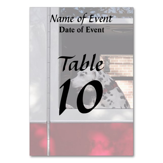 Numéro De Table Dalmatie Dans Un Camion D'Incendie (Dos)