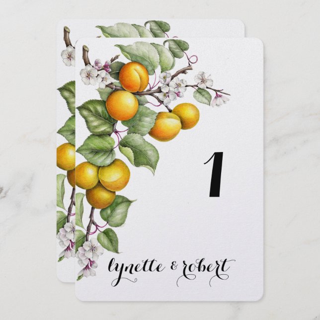 Numéro de table de mariage à l'aquarelle de fruits (Devant / Derrière)