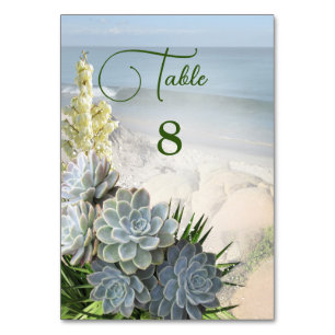 Numéro De Table Des teintes succulentes de blues pâles