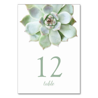 Numéro de table du Mariage moderne réussi
