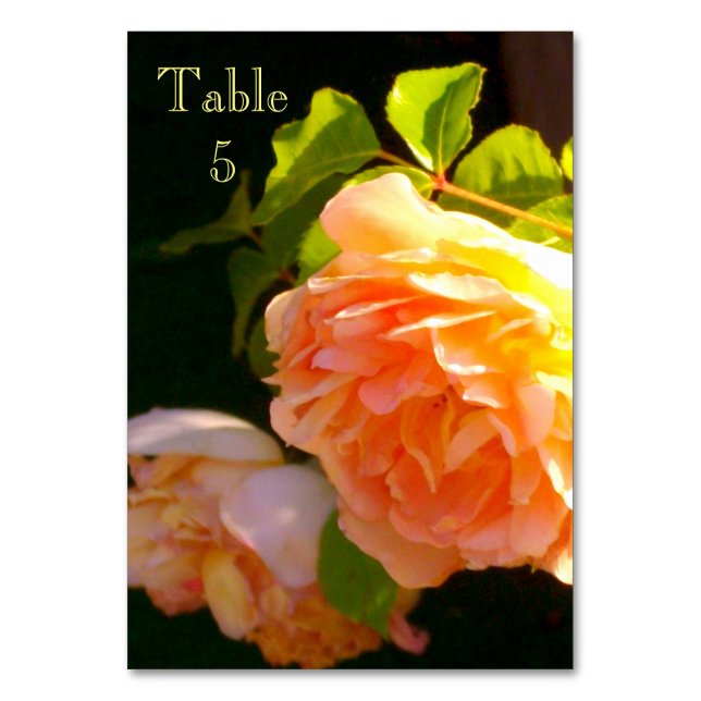 Numéro De Table Elégant classique pêche orange rose floral (Par défaut)
