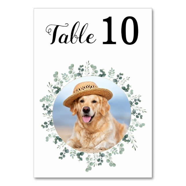 Numéro De Table Elégant Eucalyptus moderne Mariage photo personnal (Par défaut)