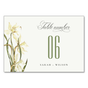Numéro De Table Elégant Rustique Aquarelle blanche Mariage de jonq