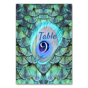 Numéro De Table Élégant Turquoise Peacock Mariage en plumes