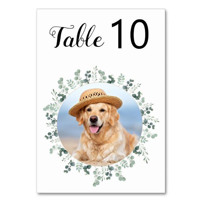 Numéro De Table Eucalyptus Green Modern Chien Photo Animaux Mariag (Par défaut)