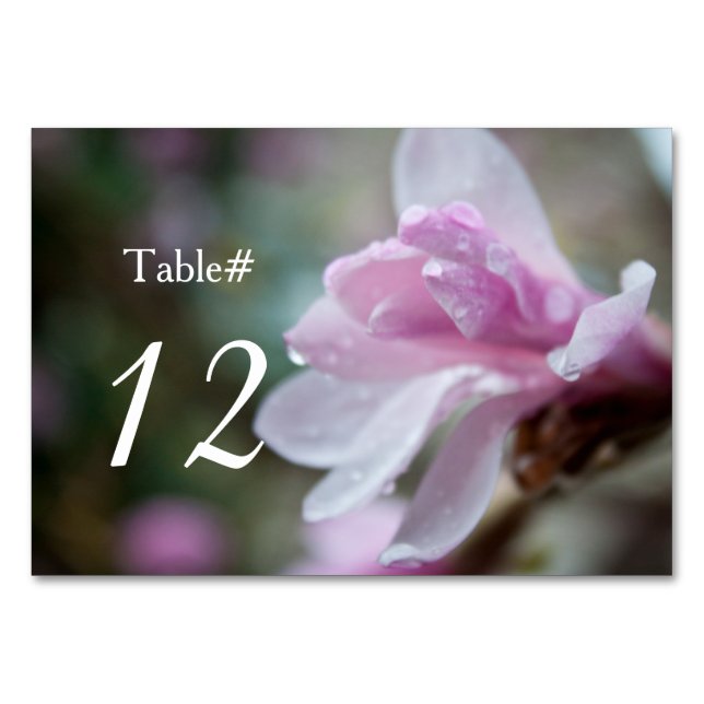 Numéro De Table fleur rose printanière magnolia dîner table numéro (Devant)
