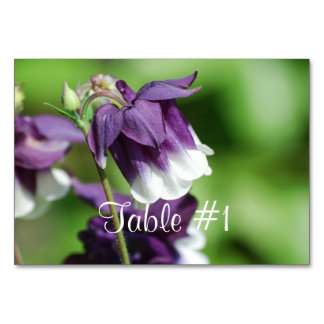 Numéro De Table Fleurs de colonne