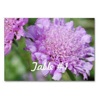 Numéro De Table Fleurs de coussin