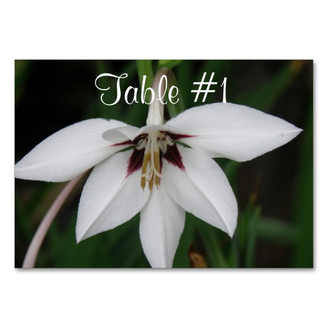 Numéro De Table Fleurs d'orchidées (Devant)