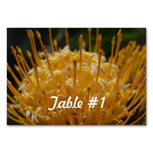 Numéro De Table Fleurs Protea (Devant)