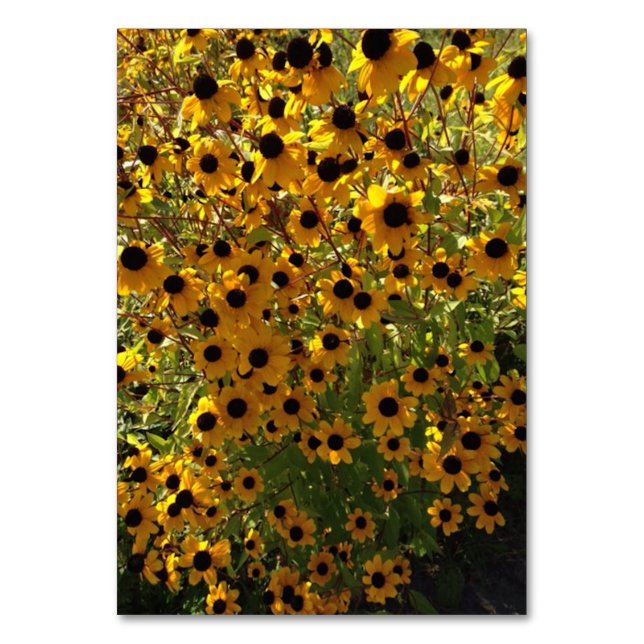 Numéro De Table Fleurs Susan aux yeux noirs Lecture personnalisée (Par défaut)