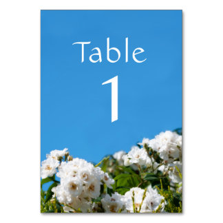 Numéro De Table Floral rose blanc