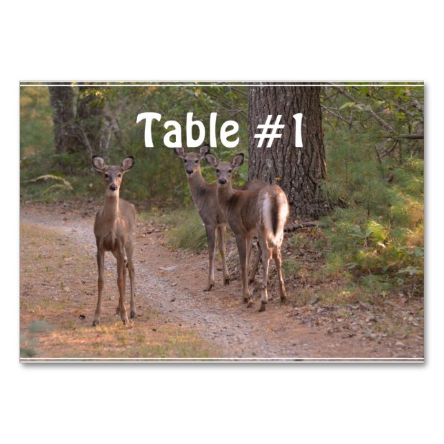 Numéro De Table Groupe de cerfs (Devant)