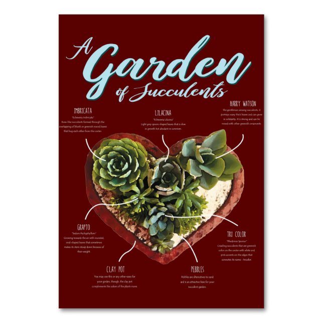 Numéro De Table Jardin De Succulents (Par défaut)