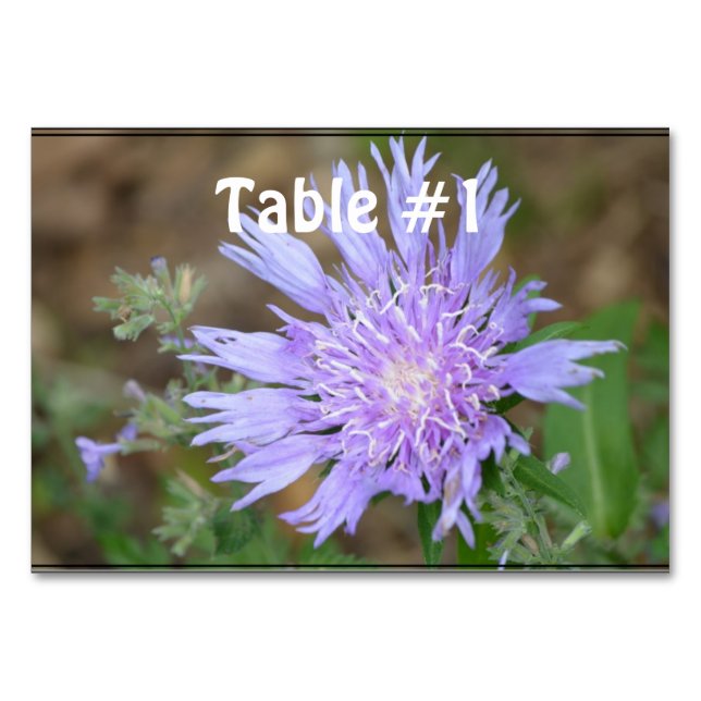 Numéro De Table Jolie Lavande Scabiosa (Devant)