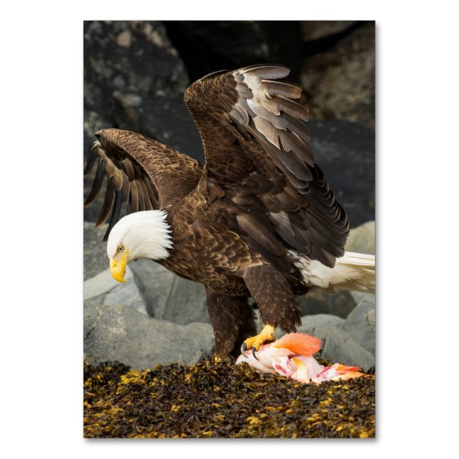 Numéro De Table L'aigle chauve ultime (Par défaut)