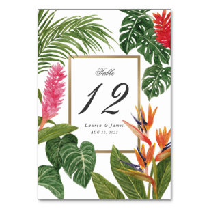 Numéro De Table Le rêve tropical