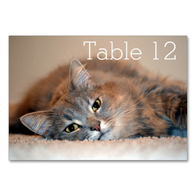 Numéro De Table Long chapeau bleu russe par Shirley Taylor (Devant)