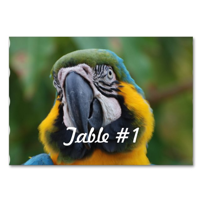 Numéro De Table Macaw bleu et or (Devant)