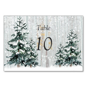 Numéro De Table Mariage au Pays des Merveilles de l'Hiver Étoiles 
