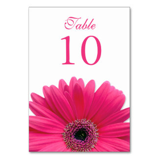 Numéro De Table Mariage de marguerite rose chaud