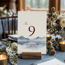 Mariage de montagne hivernal maussade