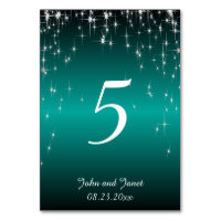 Mariage de nuit étoilé en couleur | Turquoise méta