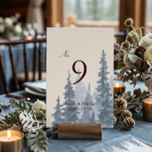 Mariage d'hiver à l'humeur changeante